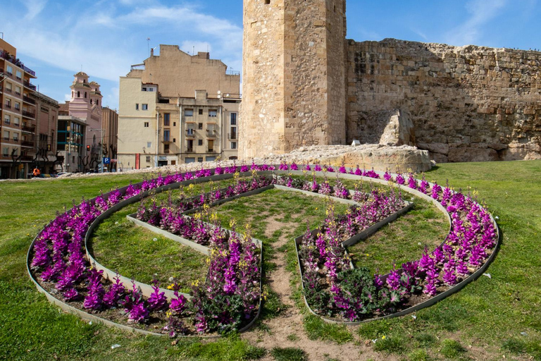 Private Sightseeing Tour of Tarragona with Local Guides