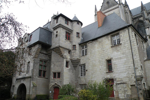 Nantes: 90-minute tour of St. Peter and St. Paul Cathedral with a professional guide