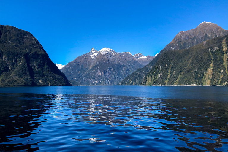 Queenstown to Te Anau 1 way via Milford Sound with Cruise