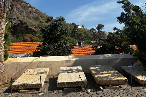 Old Town: Historical walking tour of the World Heritage Site with a local guide Small groups