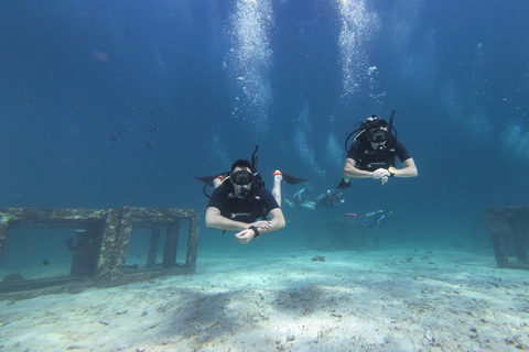 Phuket: Scuba Diving Try Dive with Hotel Pickup