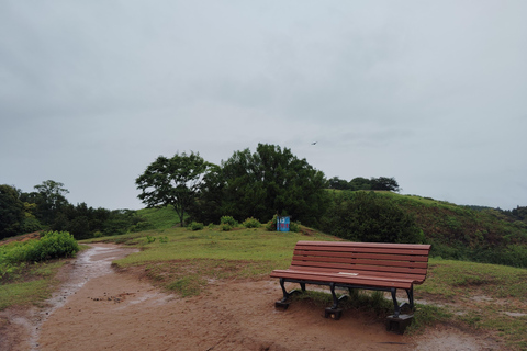 Nara: Hike Mt. Wakakusa and Encounter Wild Free-Roaming Deer