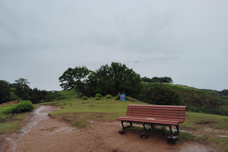 Nara: Hike Mt. Wakakusa and Encounter Wild Free-Roaming Deer