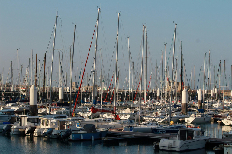 Juno Beach Shared Tour from Le Havre Cruise Tour