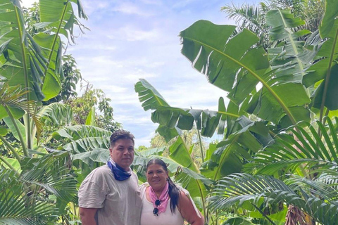 Puerto Plata: City and Countryside Tour with Tastings