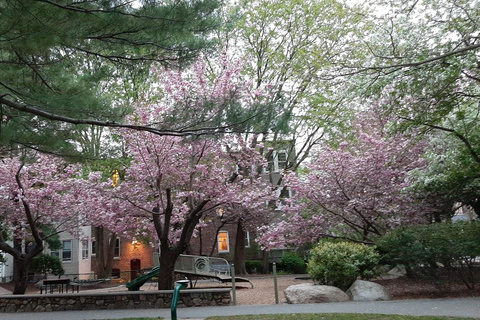 A Journey Through Time: a walking/driving tour of Boston