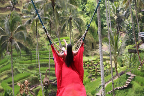 Ubud: Monkey Forest, Water Temple, Rice Terrace & Waterfall Ubud Full Day Tour 8-12 hours