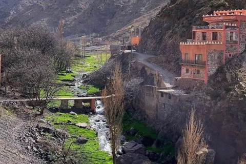 Atlasgebirge Tagesausflug von Marrakesch Wasserfall, Kamelritt