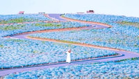 Tokyo, Ibaraki, Hitachi Park & ​​Warai Isisaki Shrine Day Trip - Housity
