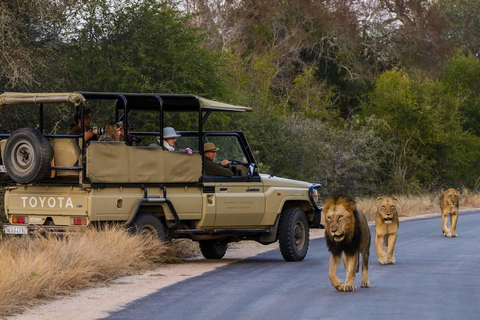 Maputo Reserve National Park: Epic One-Day Safari