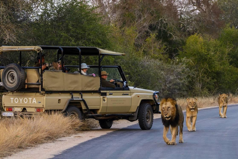 Maputo Reserve National Park: Epic One-Day Safari