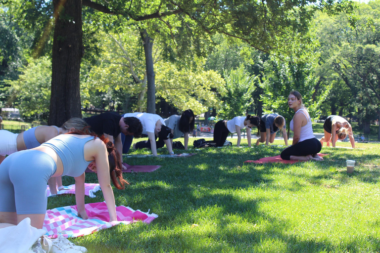 Central Park: a aula de ioga mais bem avaliada da cidade de Nova York!