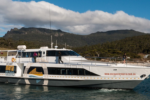 Hobart: Maria Island National Park Active Full-Day Tour From Hobart: Maria Island National Park Active Full-Day Tour