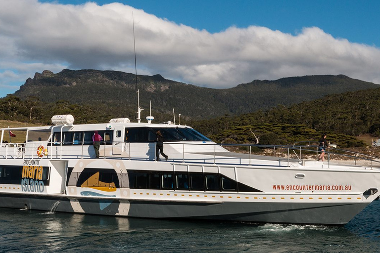 Hobart: Maria Island National Park Active Full-Day Tour From Hobart: Maria Island National Park Active Full-Day Tour