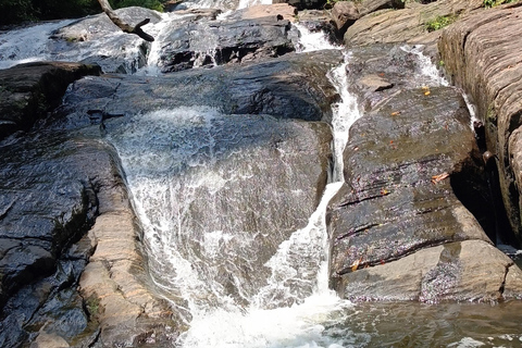 Sinharaja-Regenwald: Tour mit Wanderung zu 5 Wasserfällen