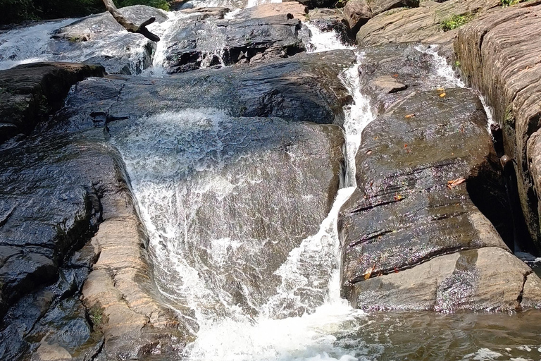 Sinharaja-Regenwald: Tour mit Wanderung zu 5 Wasserfällen