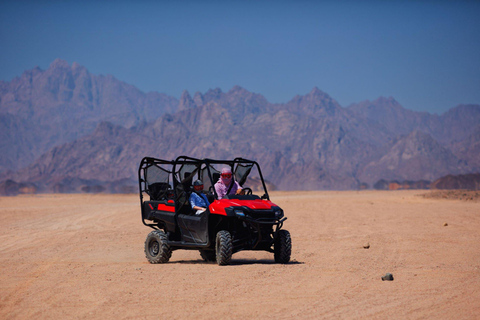 Von Agadir aus: Sahara-Wüsten-Buggy-Tour mit Snack &amp; Transfer