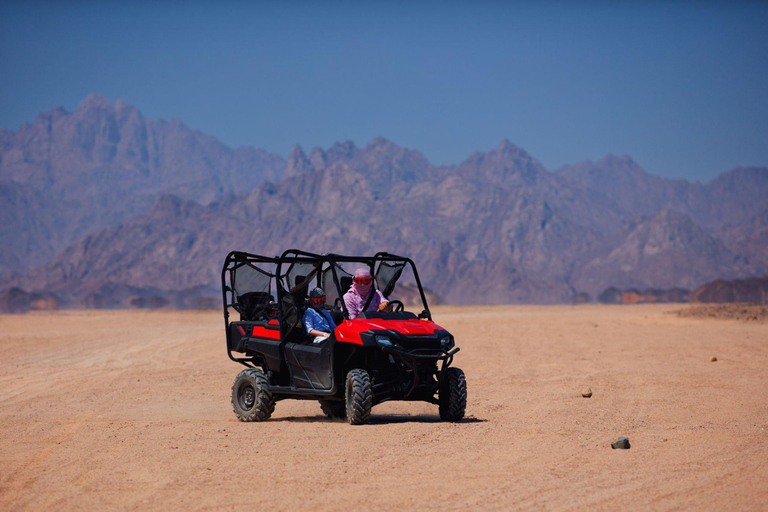 Depuis Agadir : Excursion en buggy dans le désert du Sahara avec collation et transfert