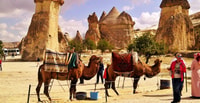 Cappadocia, Camel Riding (Sunrise Or Sunset + Transfer) - Housity