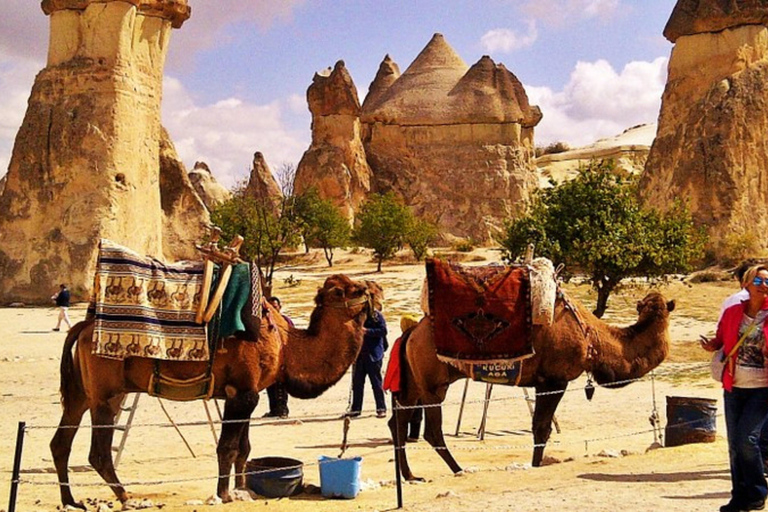 Dalla Cappadocia: Giro in cammello all&#039;alba o al tramonto: escursione di un giorno