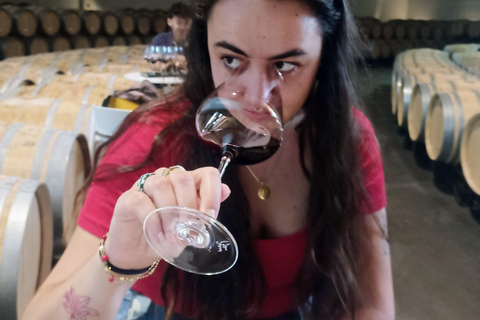 Rioja: Wine Tour with a Local Expert with Tastings