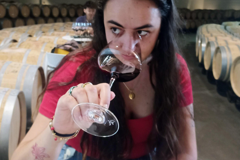 Rioja: Wine Tour with a Local Expert with Tastings
