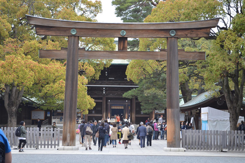 Całodniowa prywatna wycieczka do Tokio z anglojęzycznym kierowcą