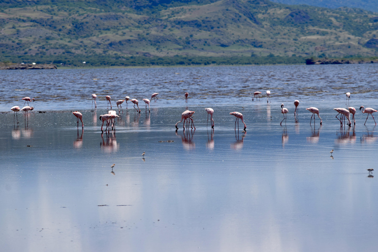 Arusha: Lake Natron Day Trip (Lake Walk &amp; Waterfall Hike)