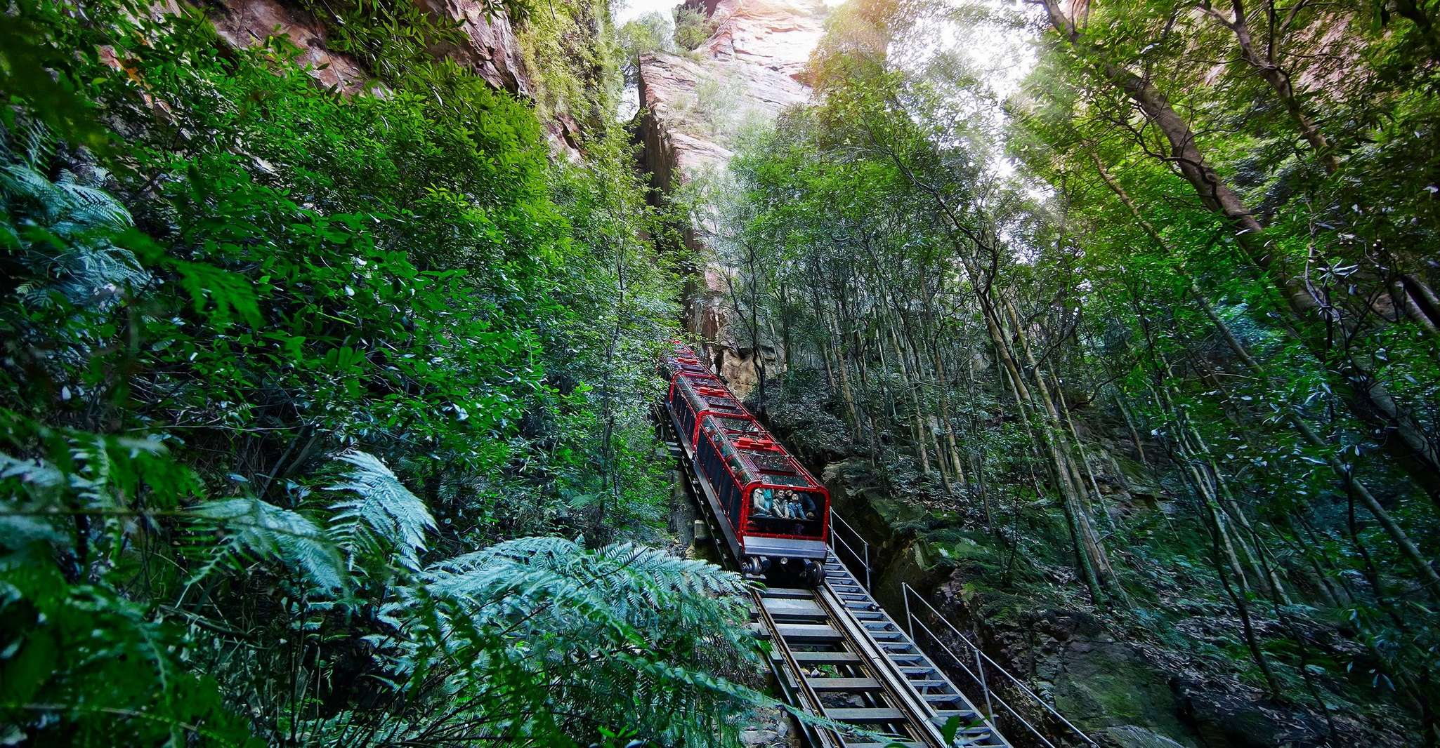 Sydney, Blue Mountains Scenic World, Wildlife Park and Lunch - Housity