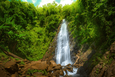 Chiang Rai: Private Tour of Temples, Tea Garden, Hill Tribes