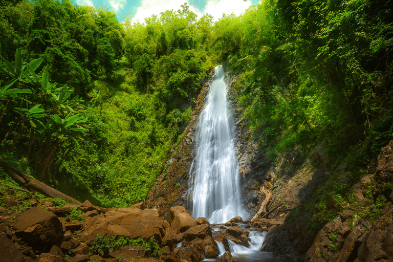 Chiang Rai: Private Tour of Temples, Tea Garden, Hill Tribes