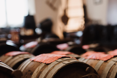 Modena: Balsamic Vinegar Cellar Tour, Tasting & Food Pairing Castelfranco Emilia: Modena Balsamic Vinegar Cellar Visit
