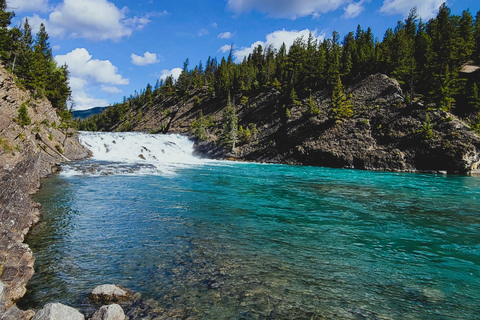 Z Calgary do Banff: wycieczka 1-dniowa z wizytą w schronisku dla psów wilczastychZ Calgary do Banff: wycieczka 1-dniowa z wizytą w rezerwacie wilków