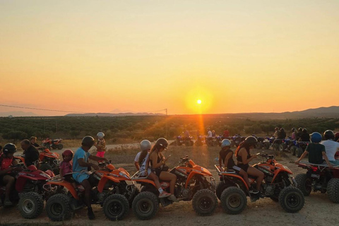 Hammamet: Camel Ride, Lunch, and Quad Biking Tour