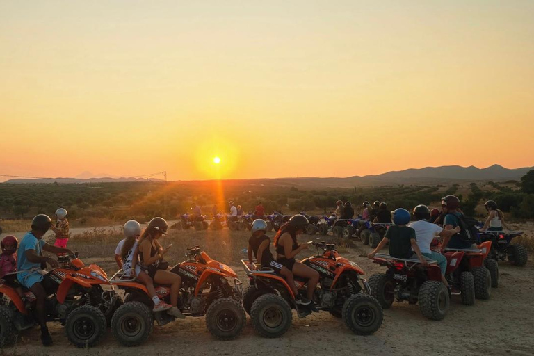 Hammamet: Camel Ride, Lunch, and Quad Biking Tour