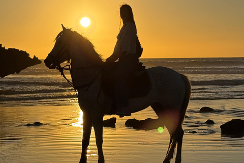 Taghazout: Private Horse Ride on Banana Beach with Pickup