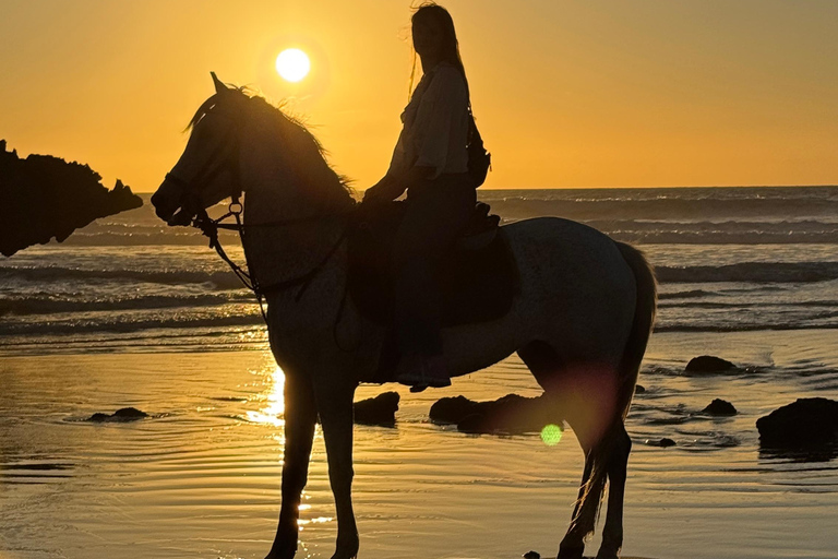 Taghazout: Private Horse Ride on Banana Beach with Pickup