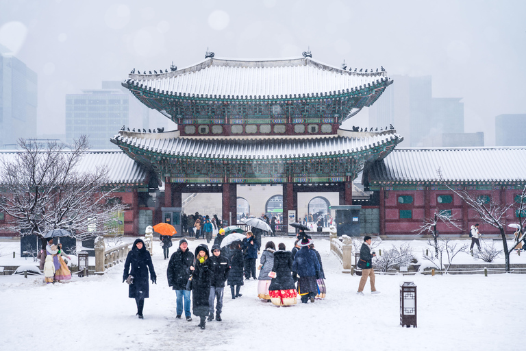 Seoul: Private City Tour with Guide and Photos