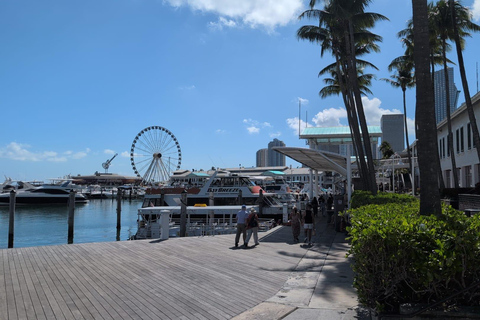 Miami Combo: Everglades Adventure and Sightseeing Tour Combo - Downtown Miami pickup