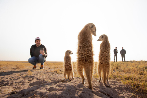 From Maun: 3-Day Makgadikgadi Salt Pans Safari Adventure