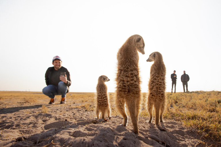 From Maun: 3-Day Makgadikgadi Salt Pans Safari Adventure