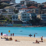 Experience Sydney's Best Beaches: Private Tour Experience Sydney's Best Beaches: Private Tour