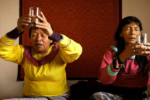 Retraite Wachuma+Ayahuasca, 2 jours - formule intermédiaire