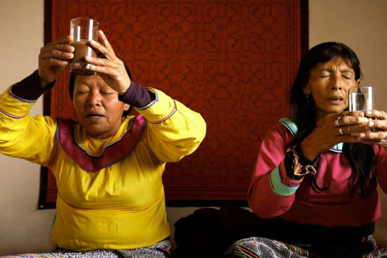 Retraite Wachuma+Ayahuasca, 2 jours - formule intermédiaire