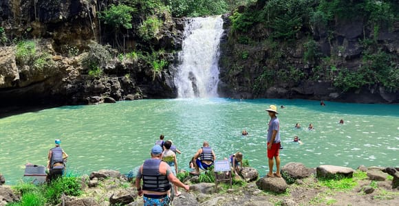 Oahu: Tal der Waimea Falls Schwimmen & Wandern mit Mittagessen & Dole