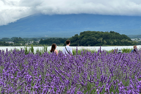 From Tokyo: Mt. Fuji or Hakone Private Sightseeing Day Trip Itinerary A: Mount Fuji