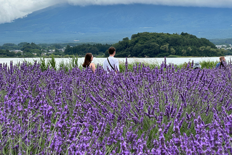 From Tokyo: Mt. Fuji or Hakone Private Sightseeing Day Trip Itinerary A: Mount Fuji