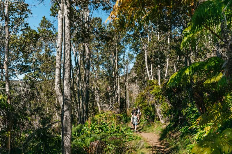 Hilo: Elite Volcano Hike | GetYourGuide