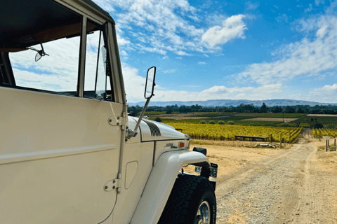 Napa: Guided Wine Tasting Tour with Picnic Lunch Private Tour