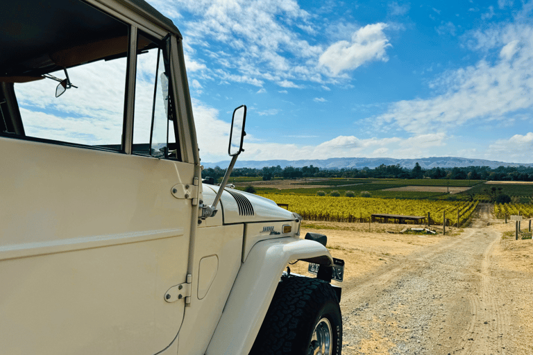 Napa: Guided Wine Tasting Tour with Picnic Lunch Private Tour
